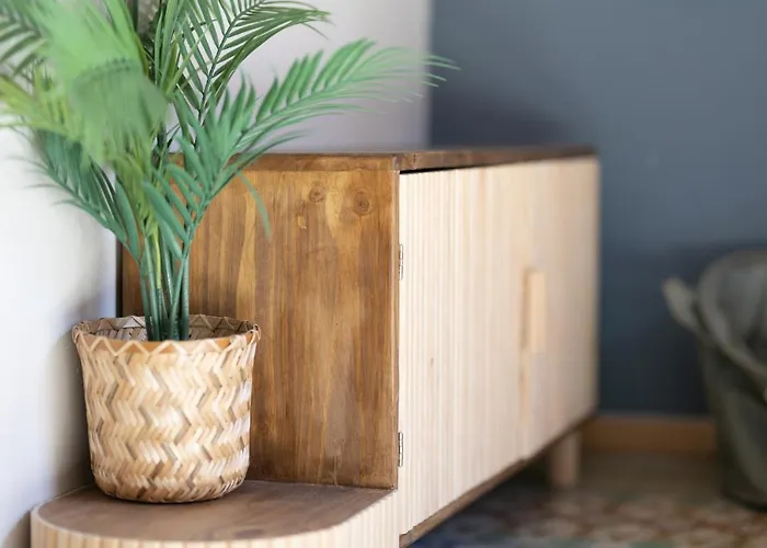 Bird House Valência