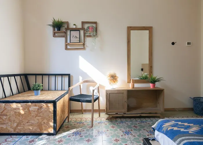 Bird House 3* Valência