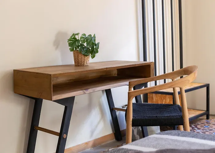 Bird House Valência