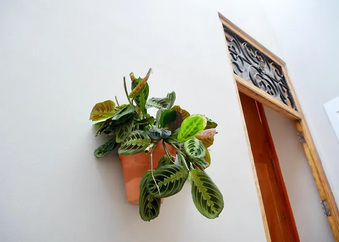 Bird House 3* Valensiya