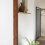 Bed & Breakfast Bird House