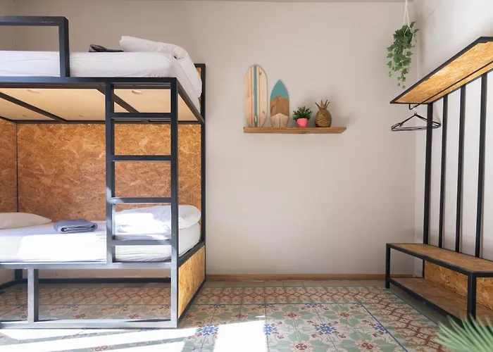 Bird House Валенсия
